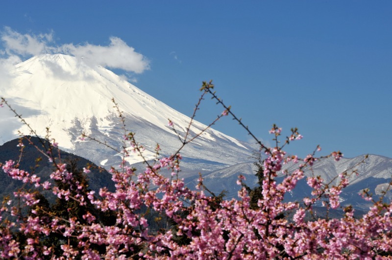 富士山画像作品