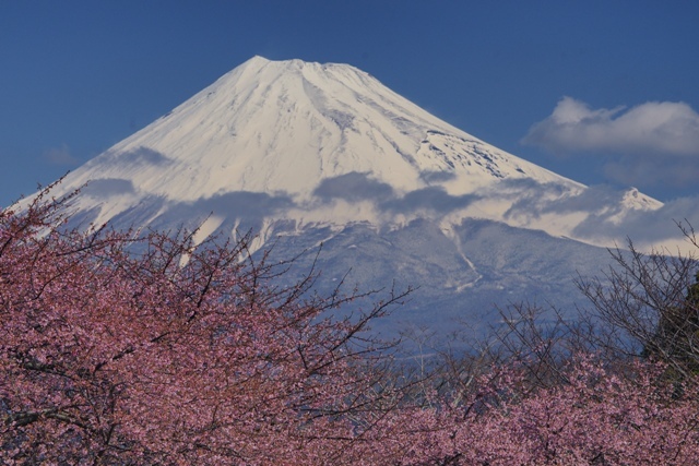 富士山画像作品