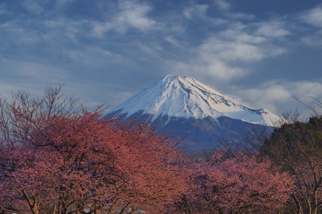 富士山画像作品