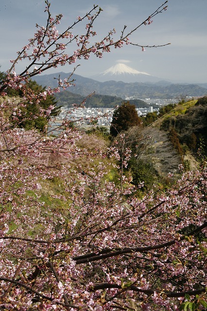 富士山画像作品