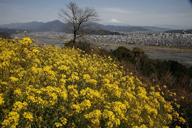 富士山画像作品