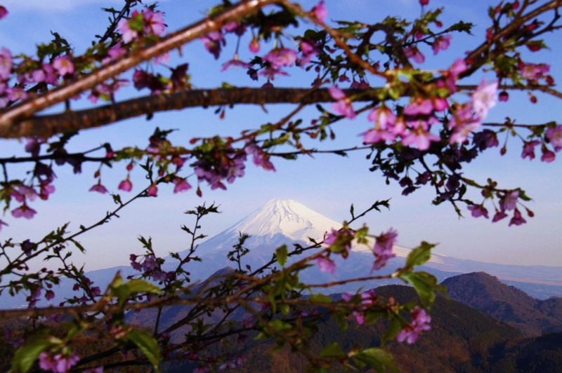 富士山画像作品