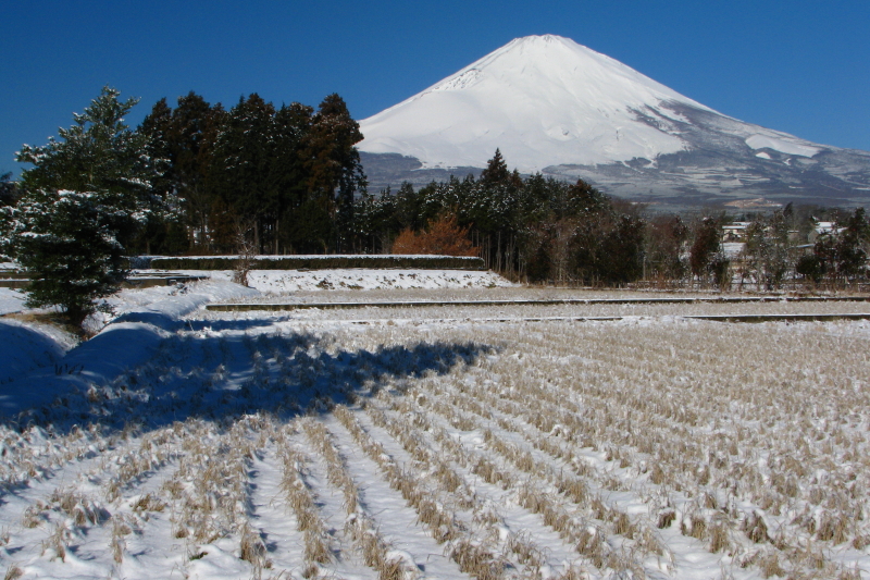 富士山画像作品