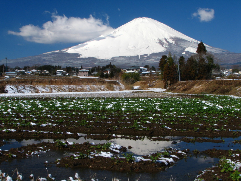 富士山画像作品