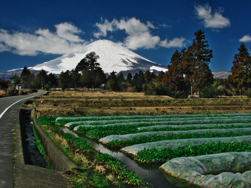 富士山画像作品