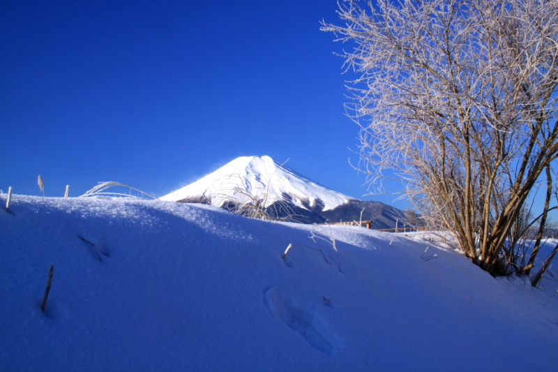 富士山画像作品