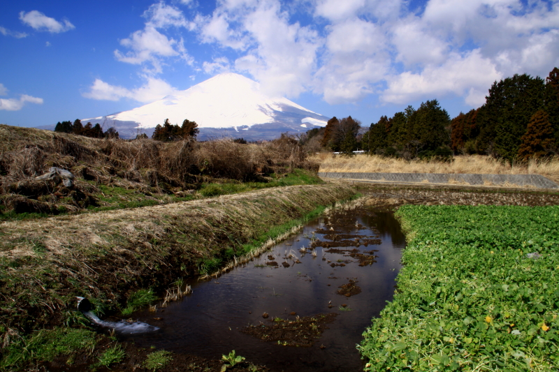 富士山画像作品