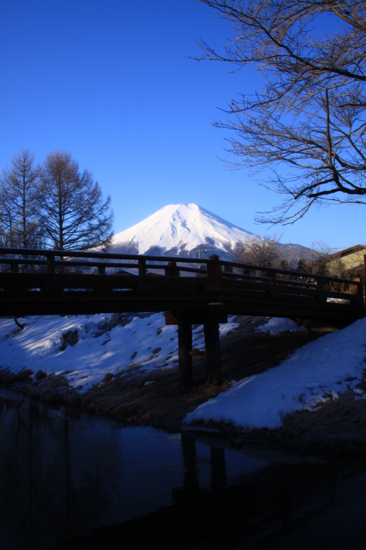 富士山画像記録