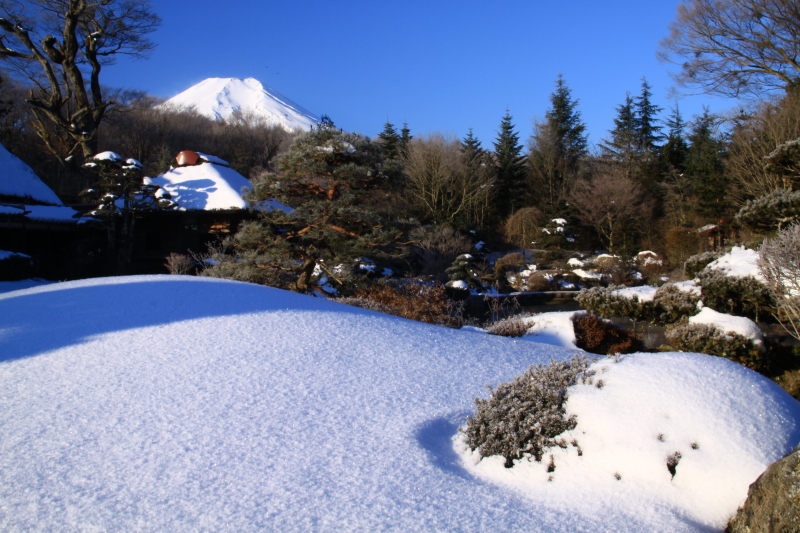 富士山画像記録