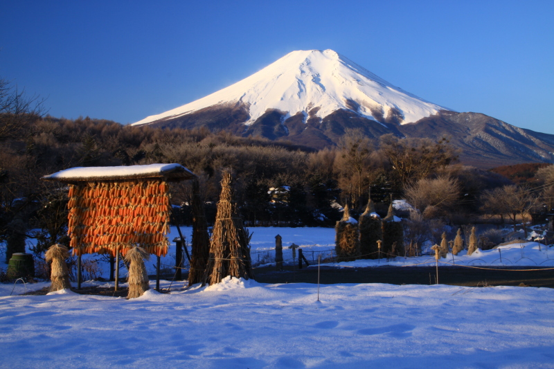 富士山画像記録