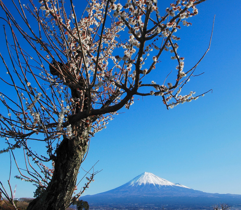 富士山画像記録