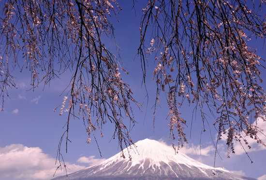 富士山画像作品