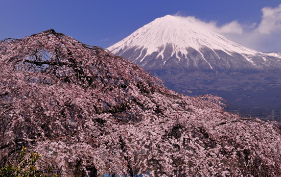 富士山画像作品