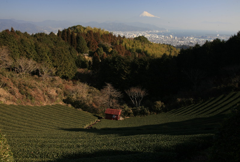 富士山画像作品