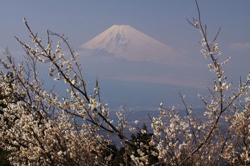 富士山画像作品