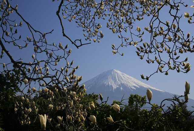 富士山画像作品