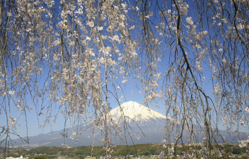 富士山画像作品