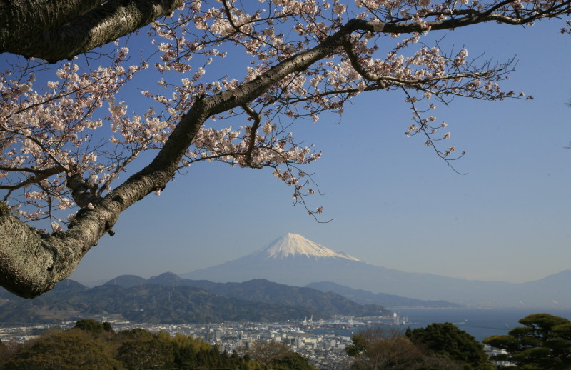 富士山画像作品