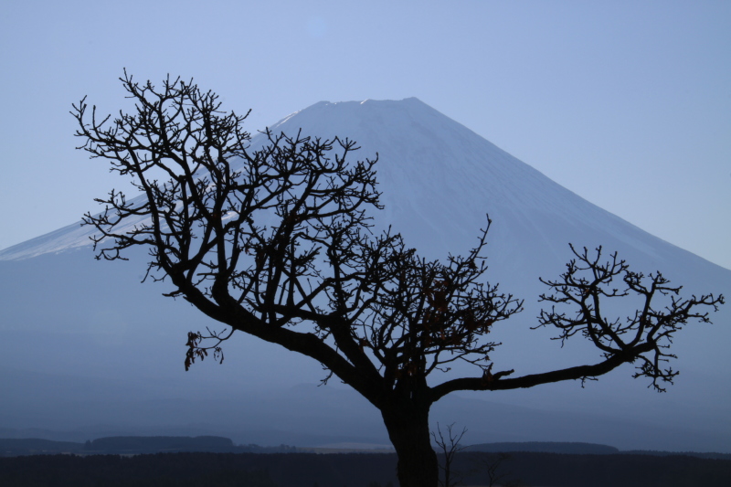 富士山画像記録