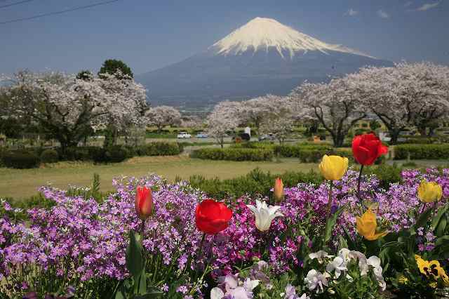 富士山画像記録