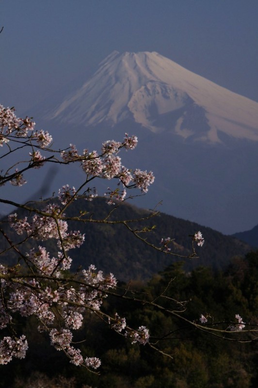 富士山画像作品