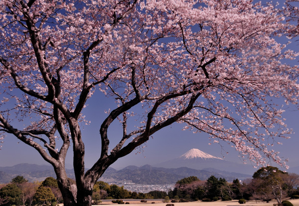 富士山画像作品