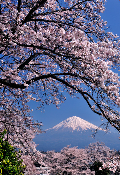 富士山画像作品