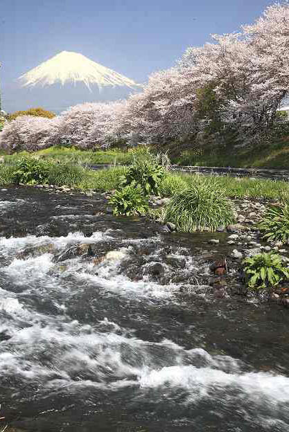 富士山画像作品