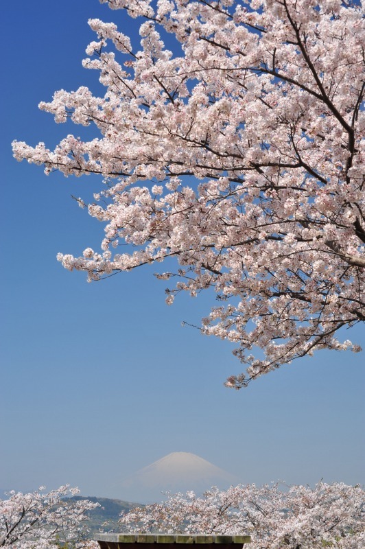 富士山画像作品