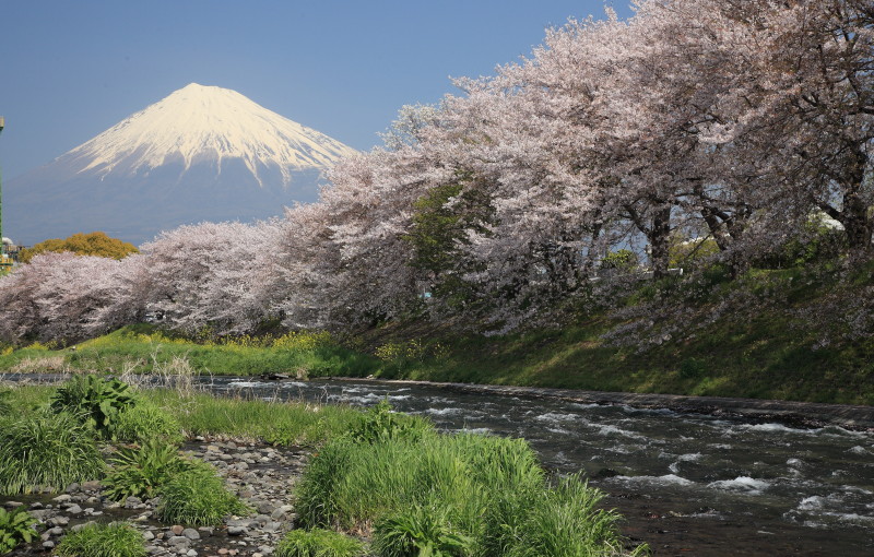 富士山画像記録