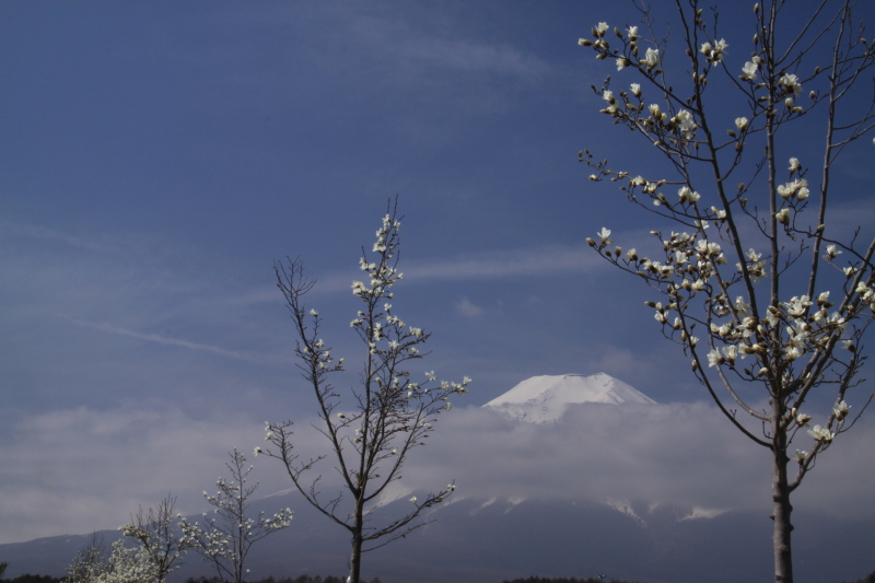 富士山画像記録