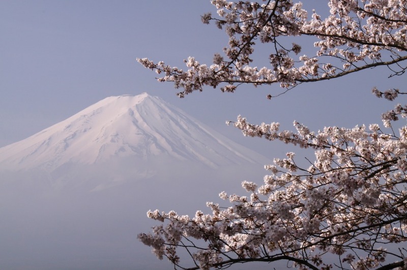 富士山画像作品