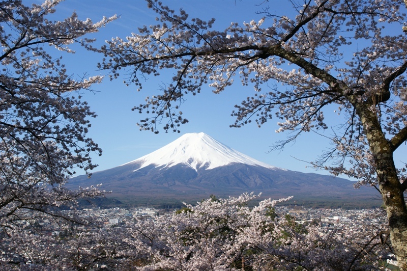 富士山画像記録