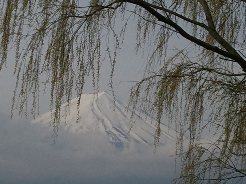 富士山画像記録