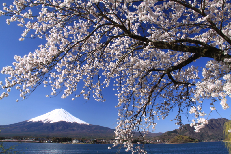 富士山画像記録