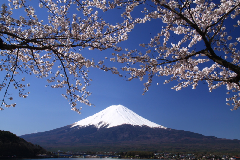 富士山画像記録