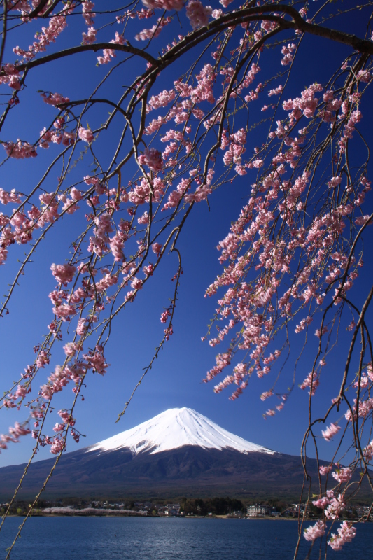 富士山画像作品