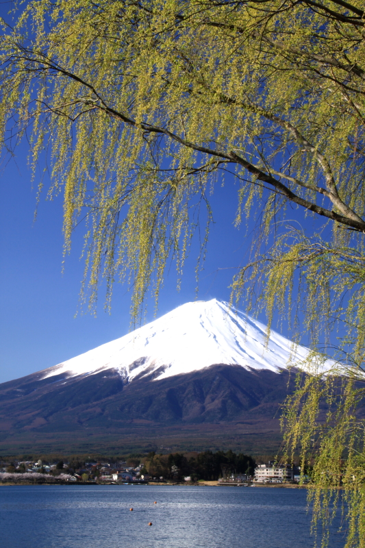 富士山画像作品