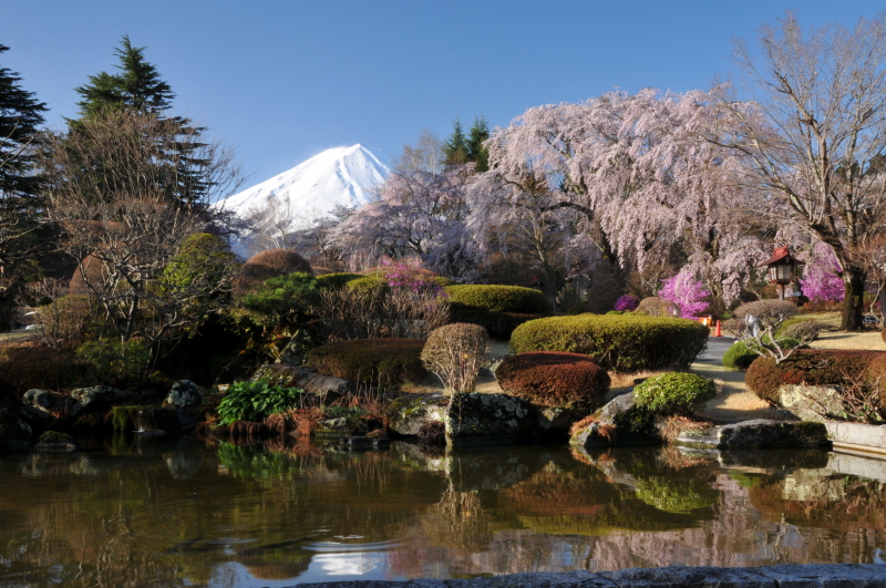 富士山画像記録