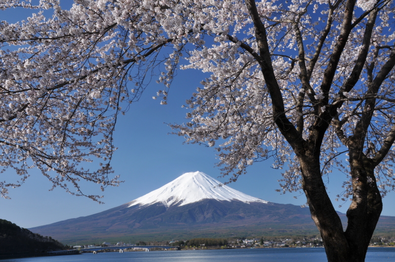 富士山画像記録