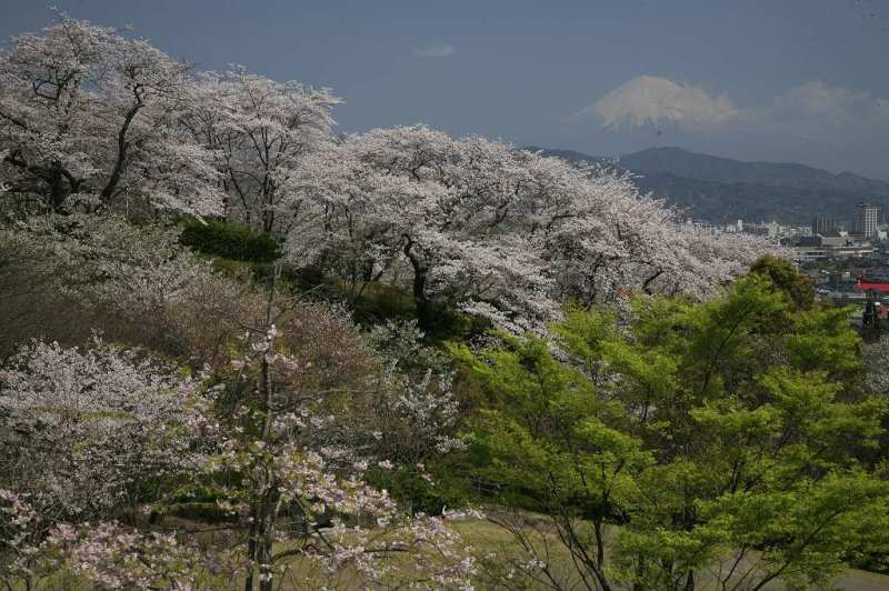 富士山画像記録