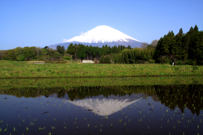 富士山画像記録