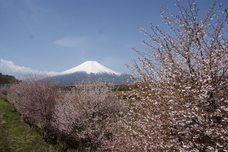 富士山画像記録