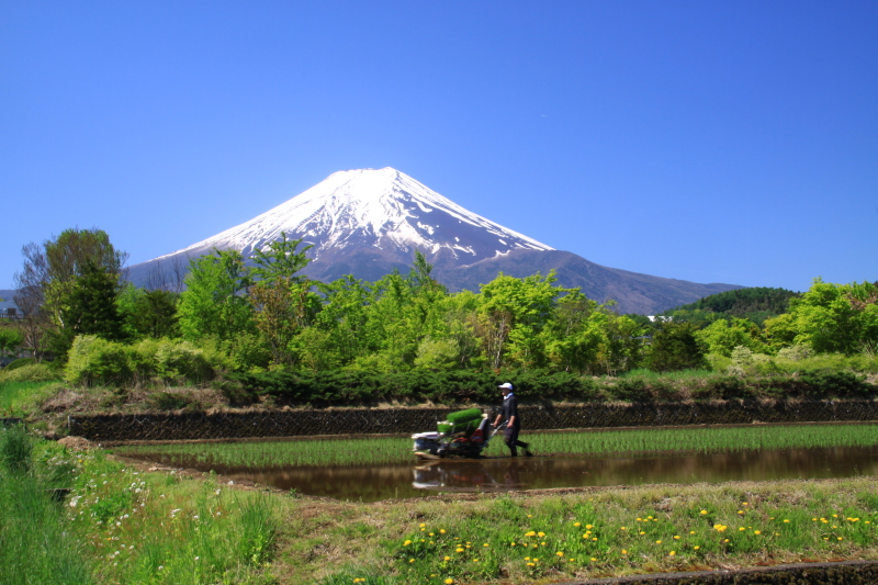 富士山画像記録