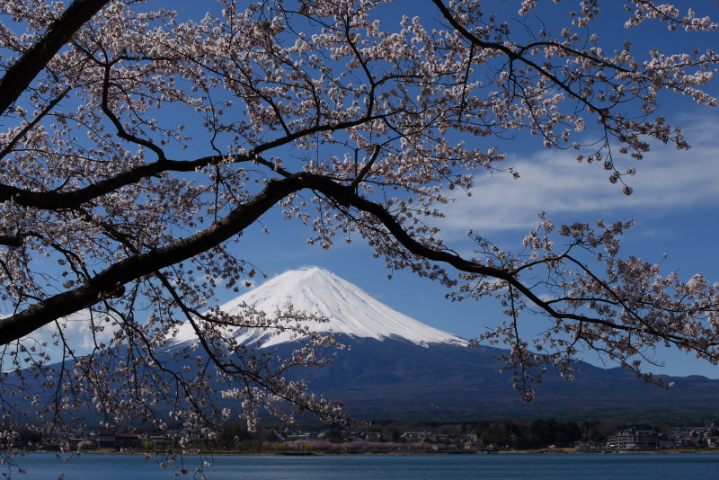 富士山画像作品