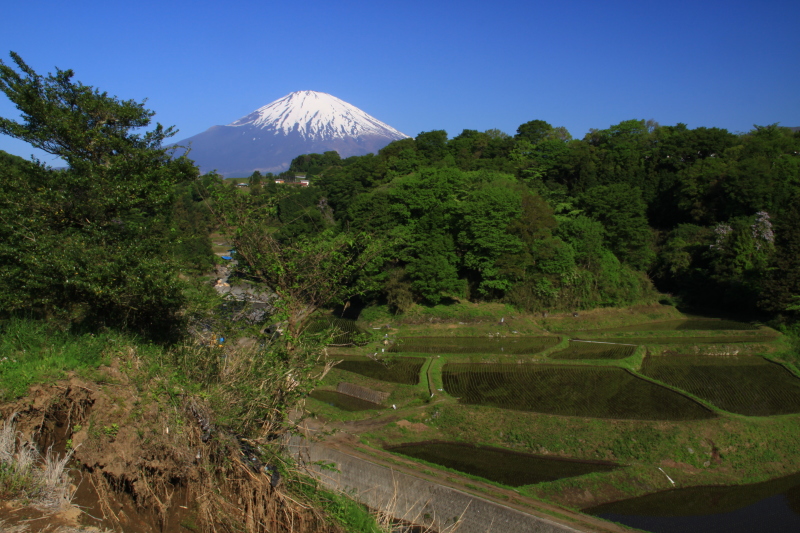 富士山画像記録