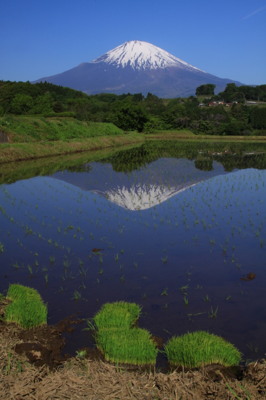 富士山画像記録