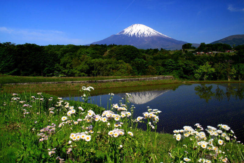 富士山画像作品