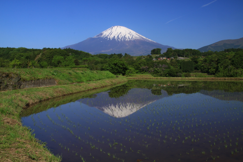 富士山画像記録