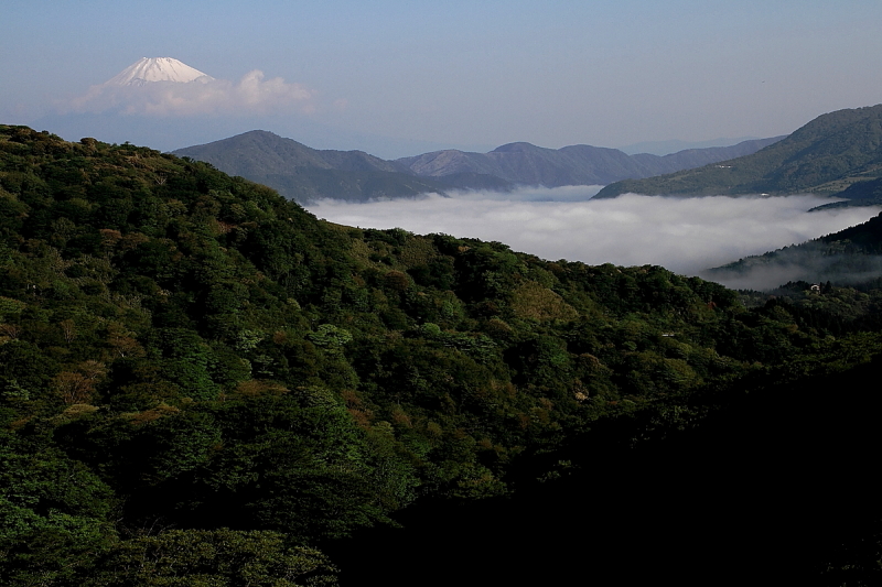 富士山画像作品